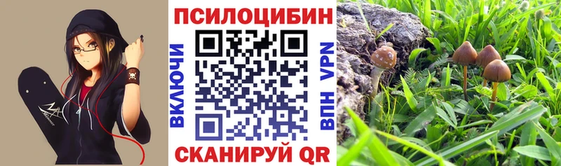 hydra вход  Гусиноозёрск  Галлюциногенные грибы Cubensis 